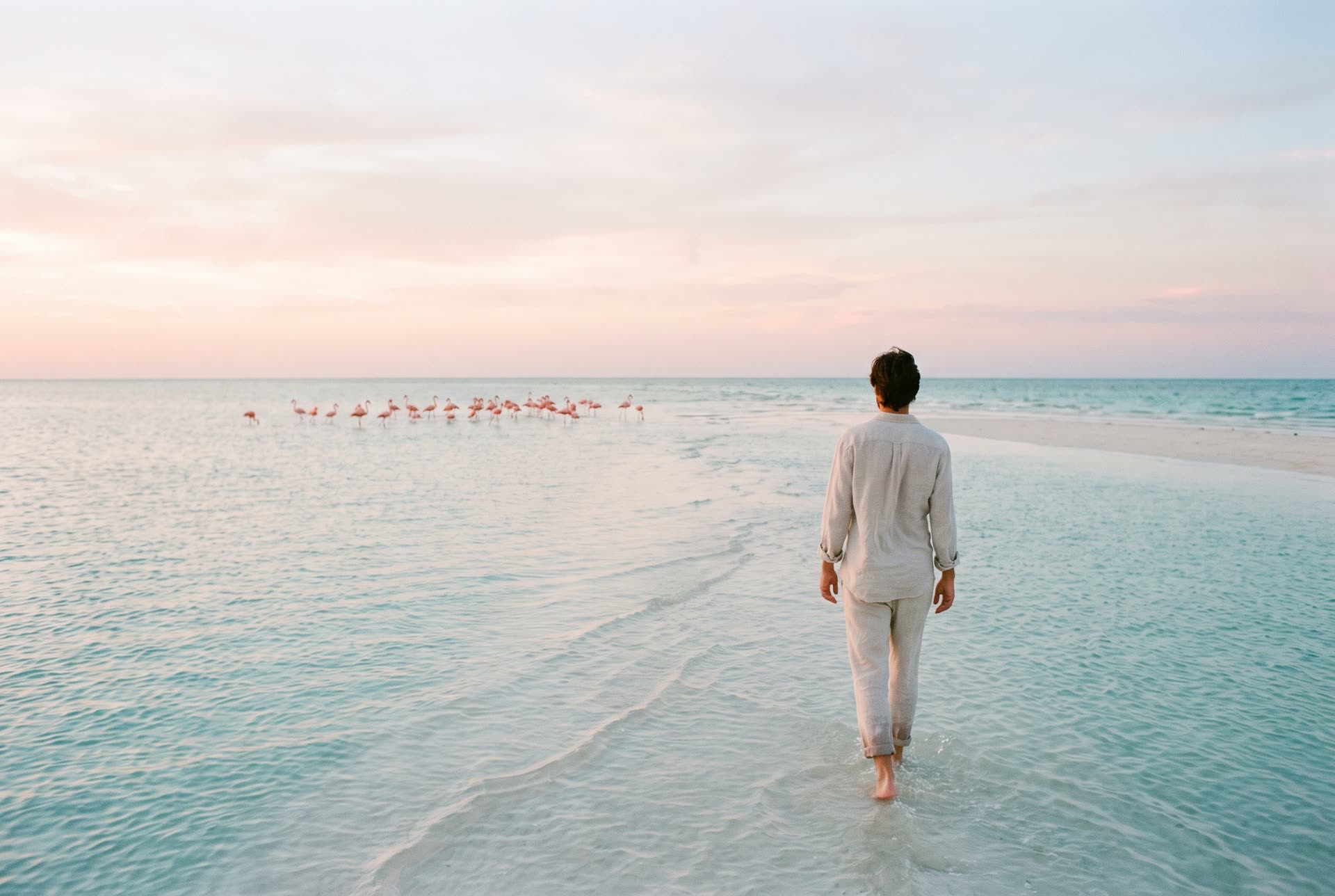 Tour Holbox + Punta Mosquito — Isla Pasion, Punta Mosquito y la magia de Holbox