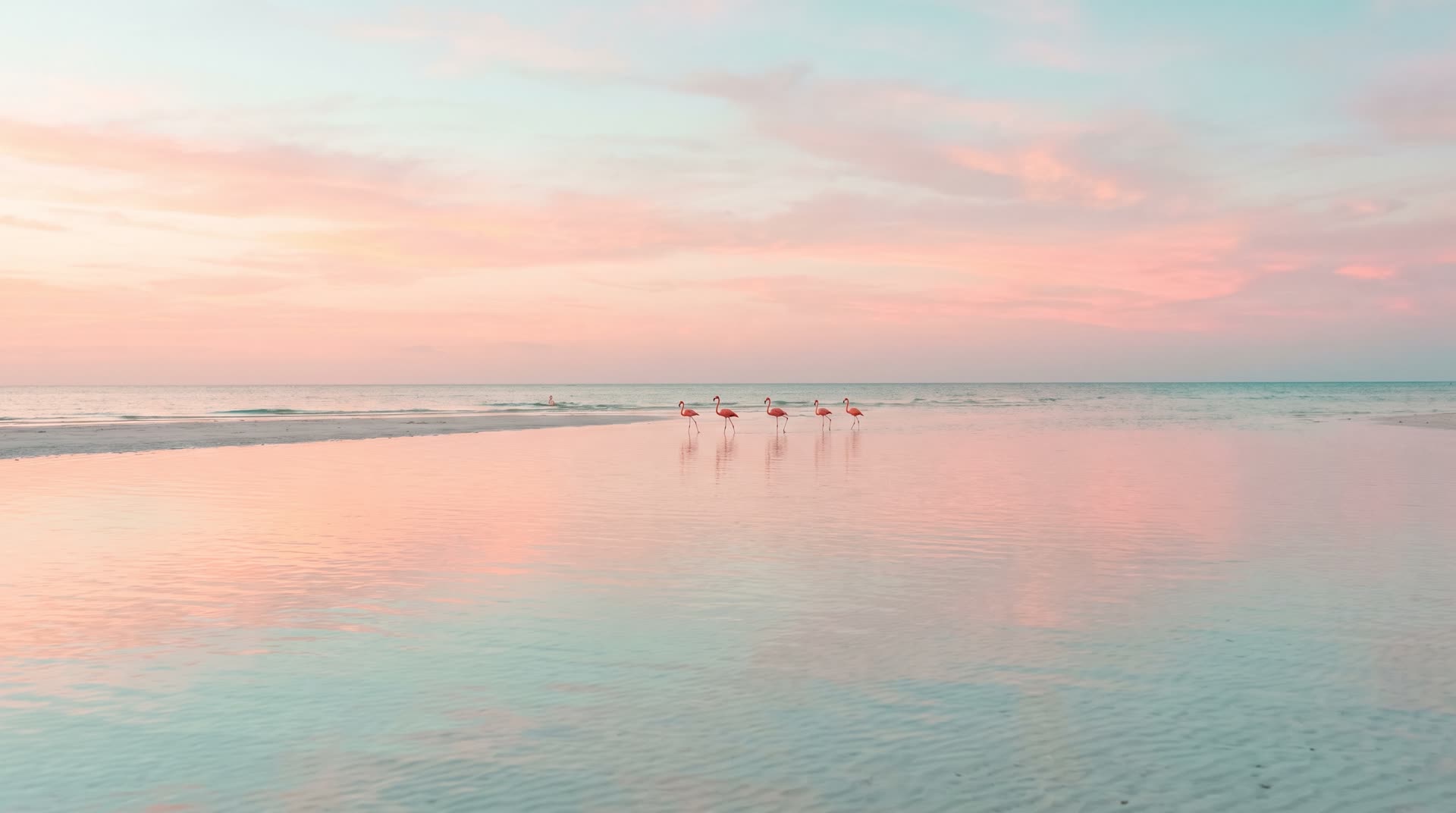 Holbox