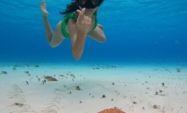 Mujer haciendo snorkel en la Riviera Maya observando una estrella de mar sobre arena blanca y agua cristalina