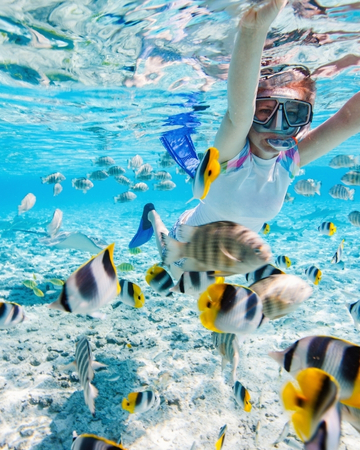 Tours de Snorkel